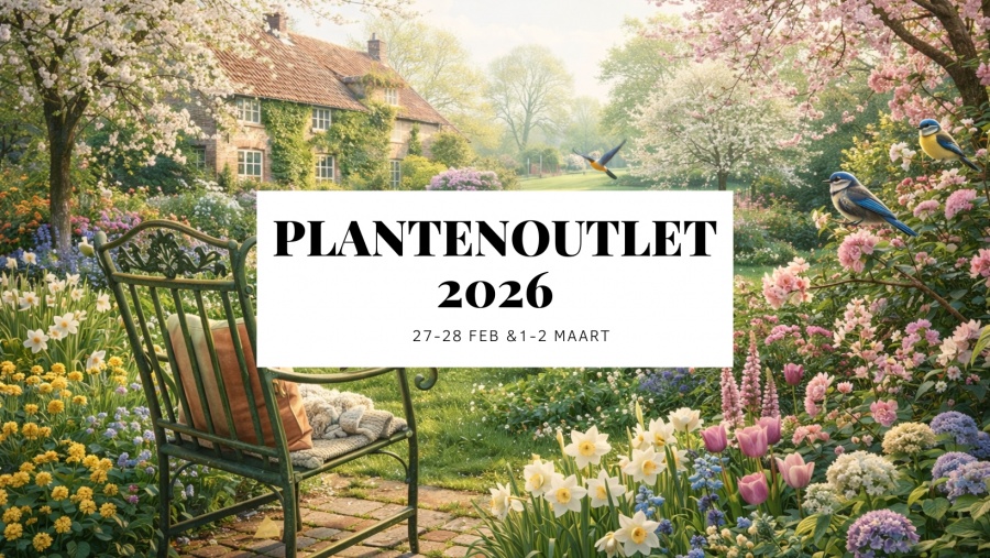 Plantenoutlet Voorjaar 2026