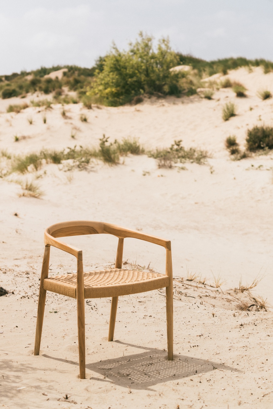 Outlet stock verkoop & nieuwe tuinmeubelen, decoratie, bloembakken, olijfbomen, druivelaars, vijgenbomen extra korting op toonzaalmodellen - 3