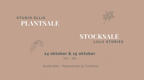 Stocksale Studio Ellis + Lulu Stories