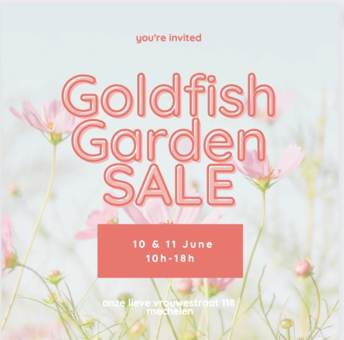 GARDEN SALE GOLDFISH