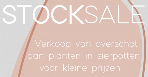 Stocksale van planten in sierpotten