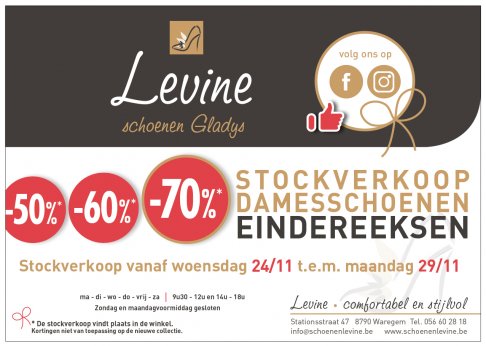 Schoenen Levine stockverkoop