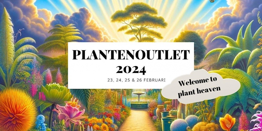 Plantenoutlet