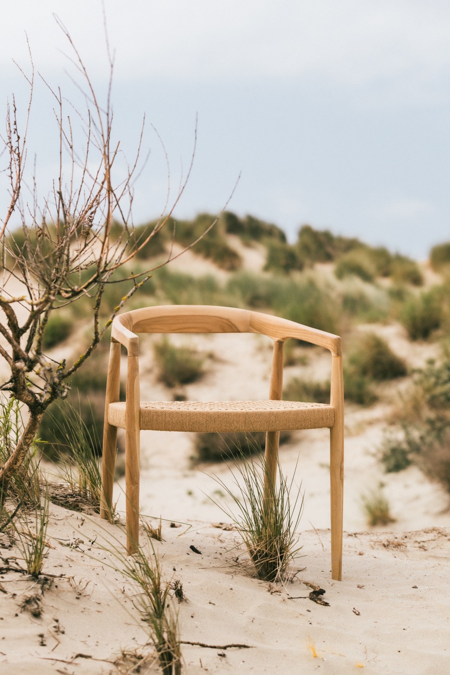 Outlet stock verkoop & nieuwe tuinmeubelen, decoratie, bloembakken, olijfbomen, druivelaars, vijgenbomen extra korting op toonzaalmodellen - 3