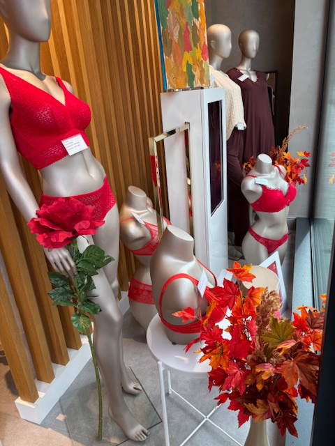 Sencis lingerie stockverkoop - 2