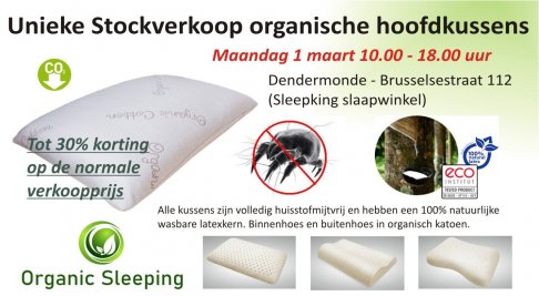 Stockverkoop organische hoofdkussens