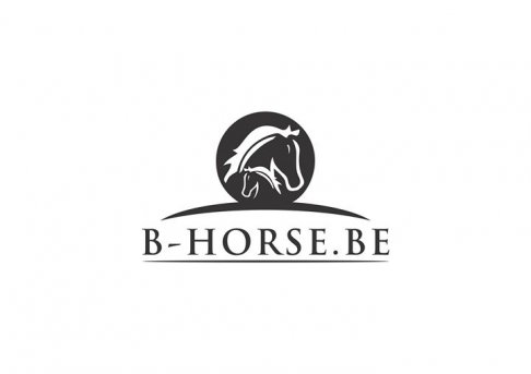 B-HORSE stockverkoop
