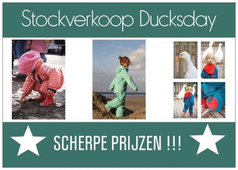 Grote ducksday stockverkoop