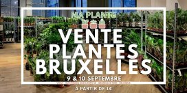 Outletverkoop planten