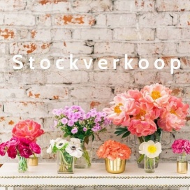 Marie Leonie Stock Stockverkoop