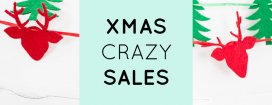 Goldfish xmas crazy sales