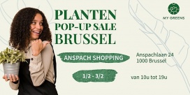 Planten pop-up sale Brussel