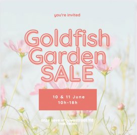 GARDEN SALE GOLDFISH