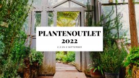 Plantenoutlet