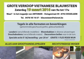Grote verkoop Vïetnamese blauwsteen à groothandelsprijzen - enkel op zaterdag 19/3 van 9u tot 17u!!