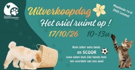 Uitverkoop tweedehandsspullen voor huisdieren