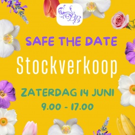 Belcastro & Bellissima stockverkoop