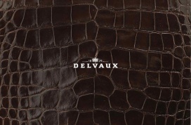 Stocksale Delvaux