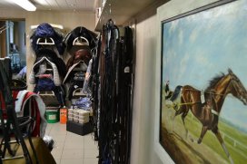 Stockverkoop JP Saddlery